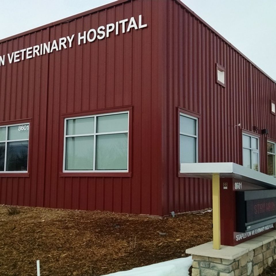 Stapleton vet denver (2)20150325 590 1si9hvo