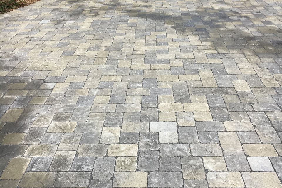 Img 0772