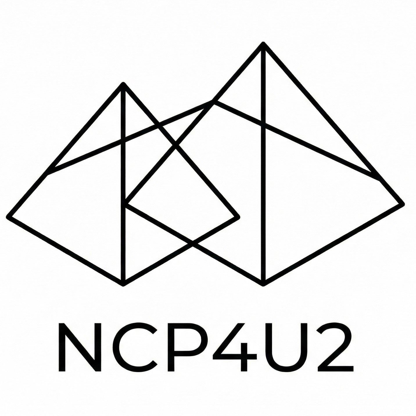 NCP 4U2