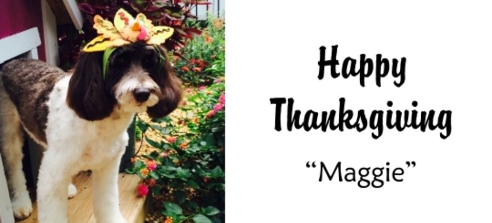 Celebrations   thanksgiving20150621 16882 ke8vmf