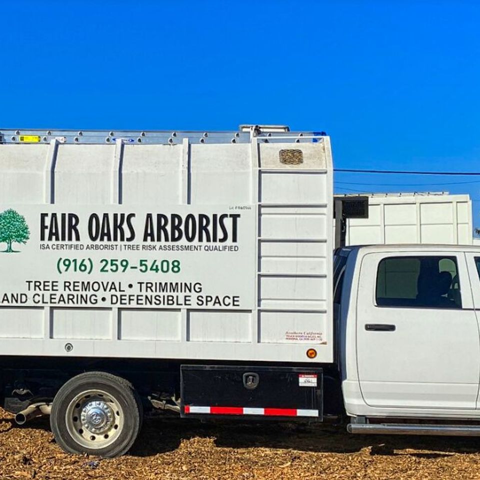 Fair Oaks Arborist ISA Certified Arborist truck with professional wood chipping equipment