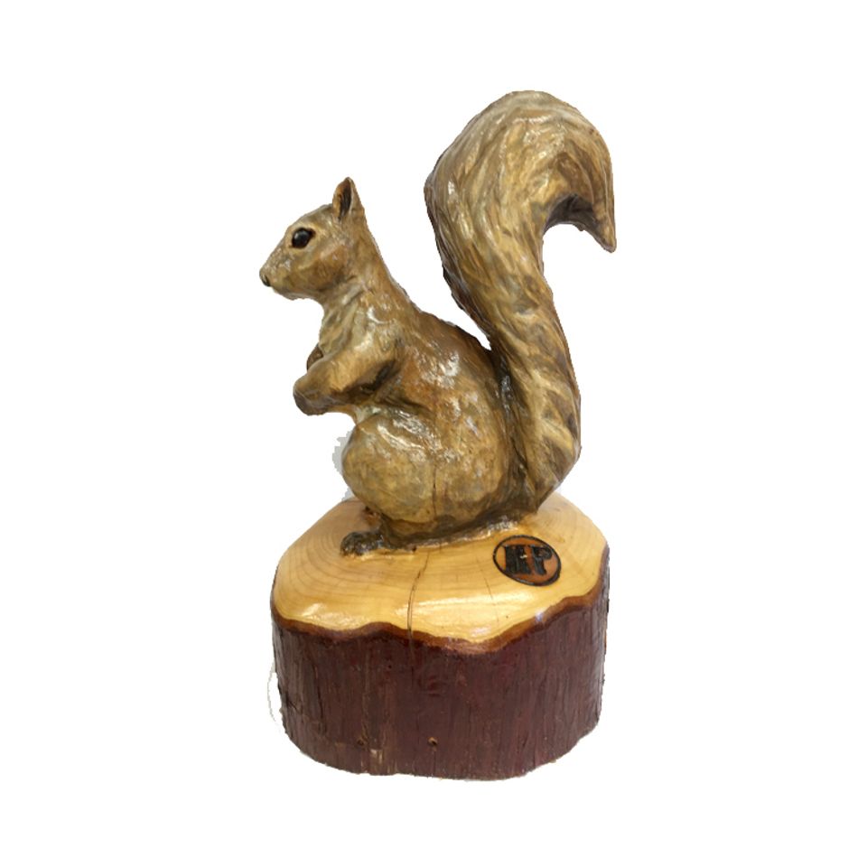Squirrel 220180430 539 5qx6t3