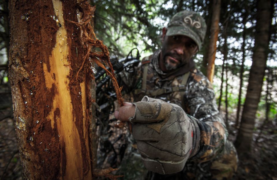 Hunting rut