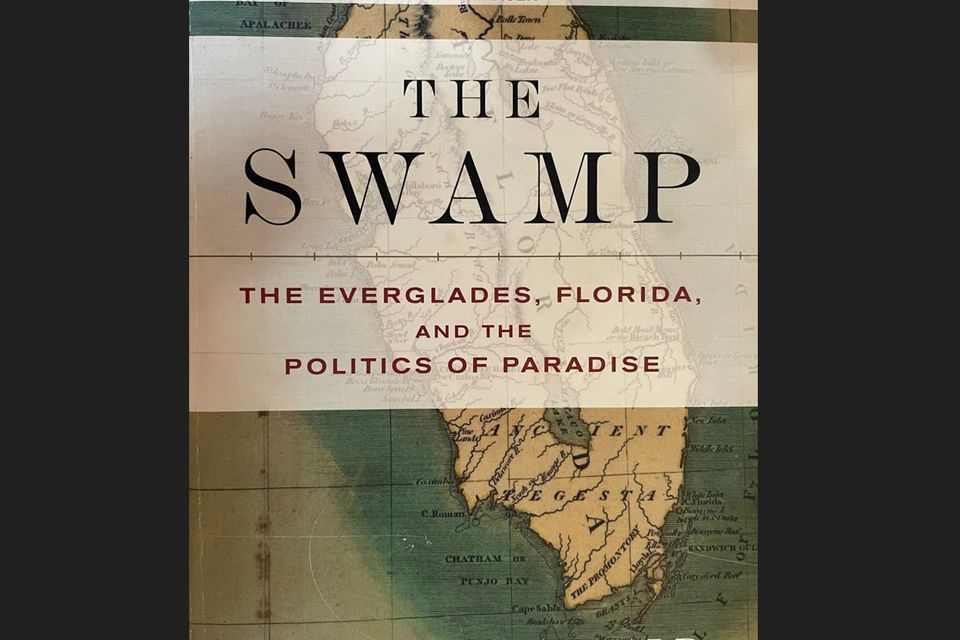 The swamp 2