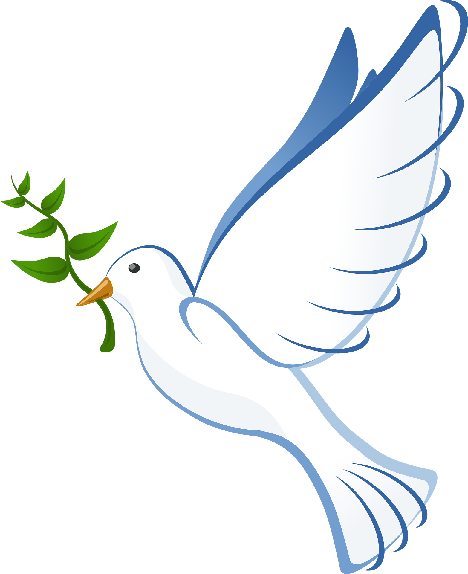 Dove Designs