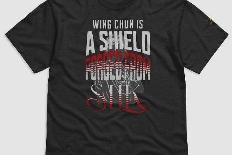 Wing chun is a shield merch image