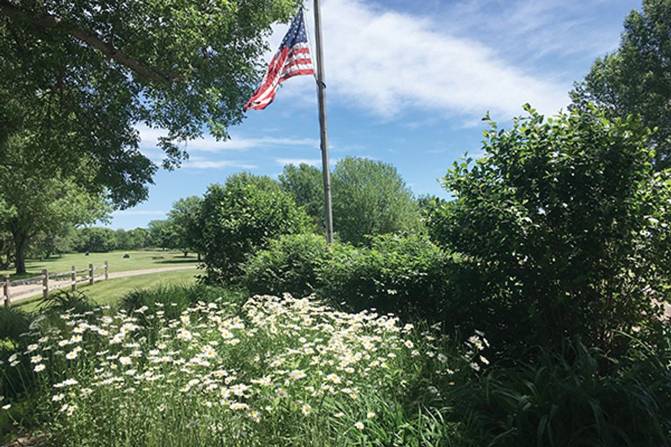 Lpnflowers