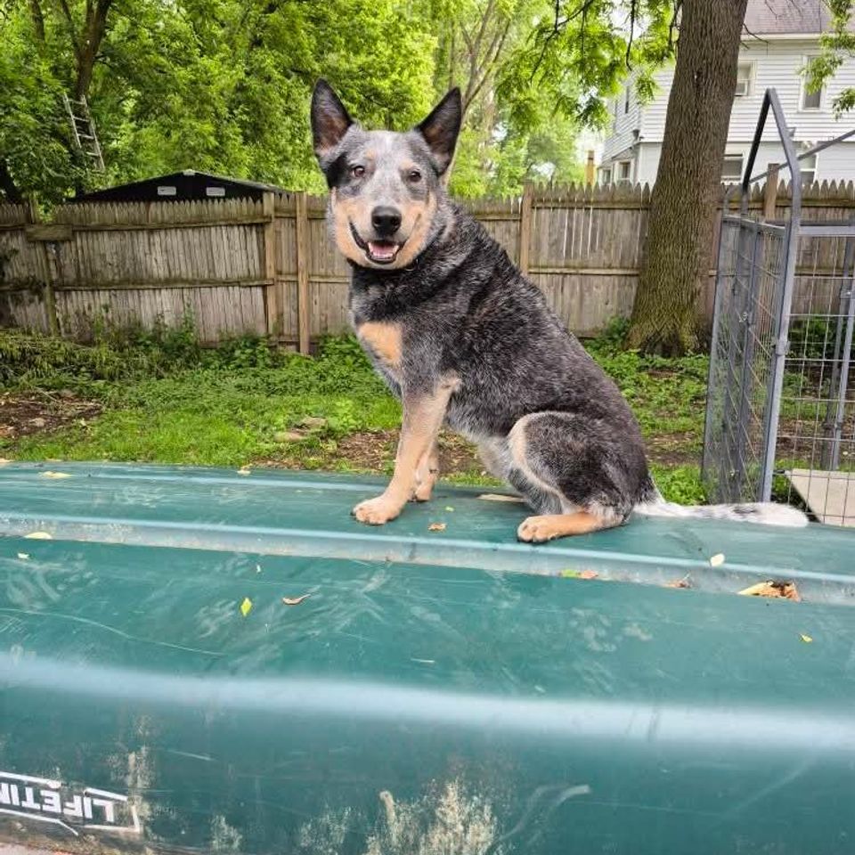 Fb img 1769435371782