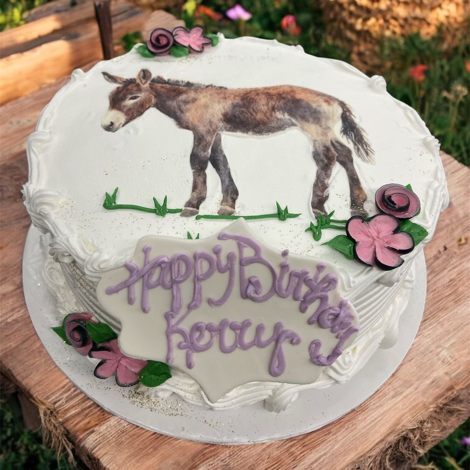 Donkey cake 