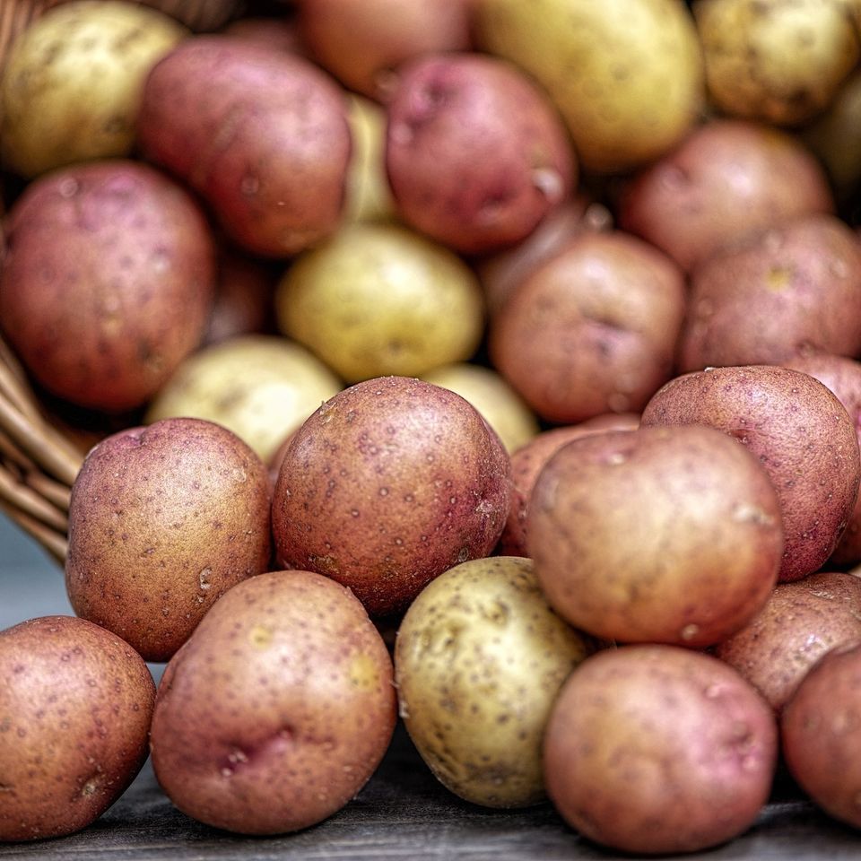 Potatoes g7b74d947c 1920