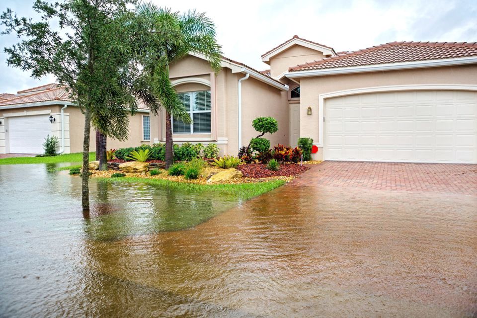 Water damage tampa