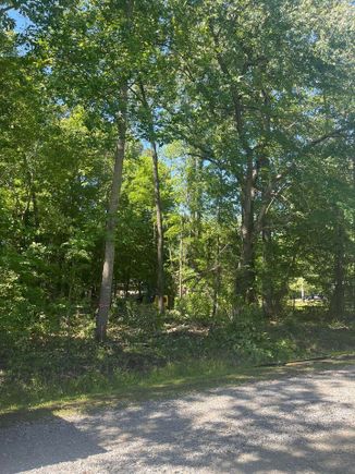 Lot clearing 1