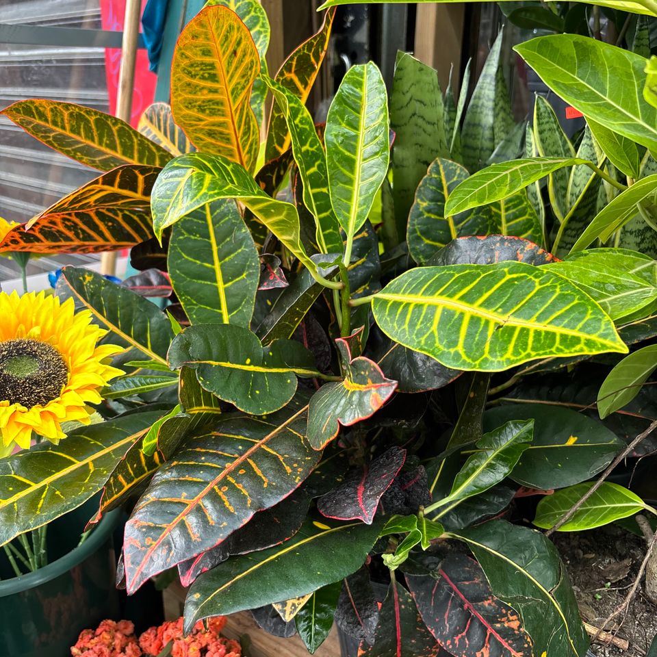 79832238222  1c8fd35d c993 4e52 85da 11015bd16bd0