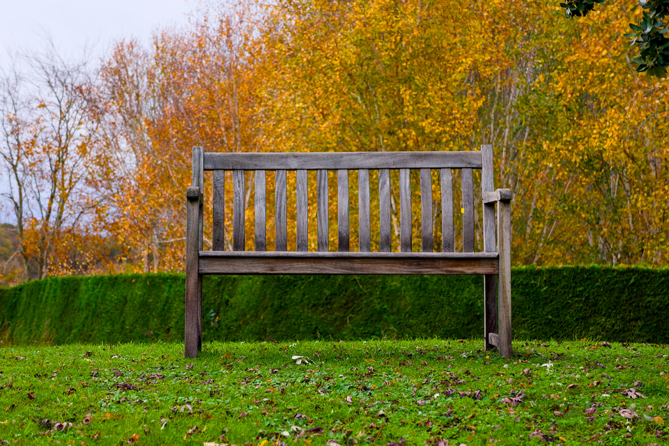 Tree service in old lyme  ct