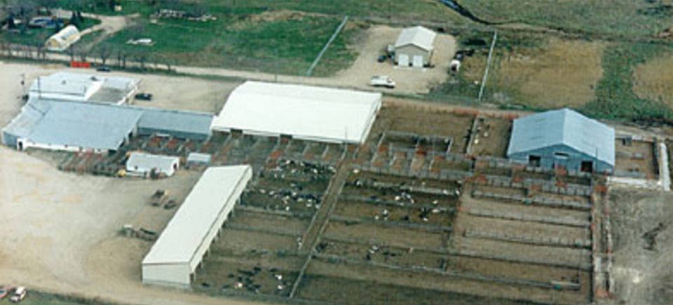 Plam aerial20111008 4924 9mhv2g 0