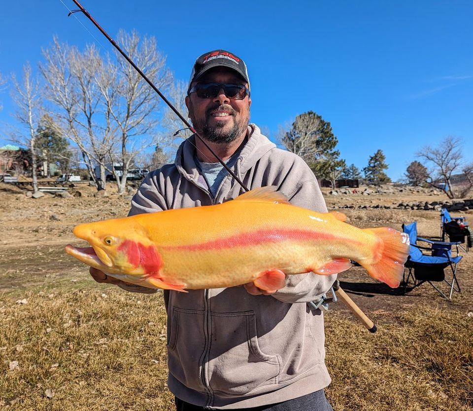 Pxl 20240102 193523736 2 (1)