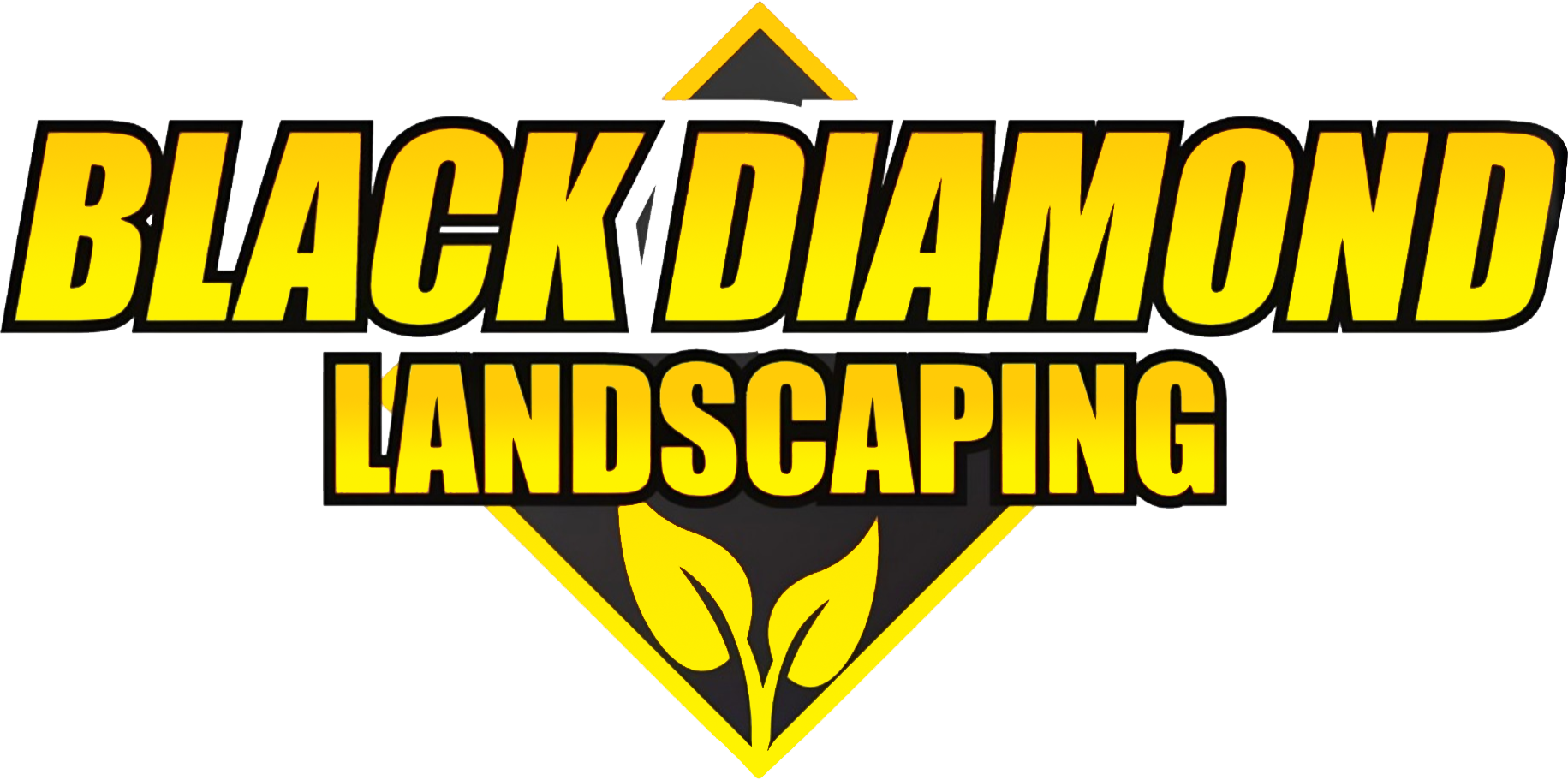 Black_Diamond_Landscaping-1-_original