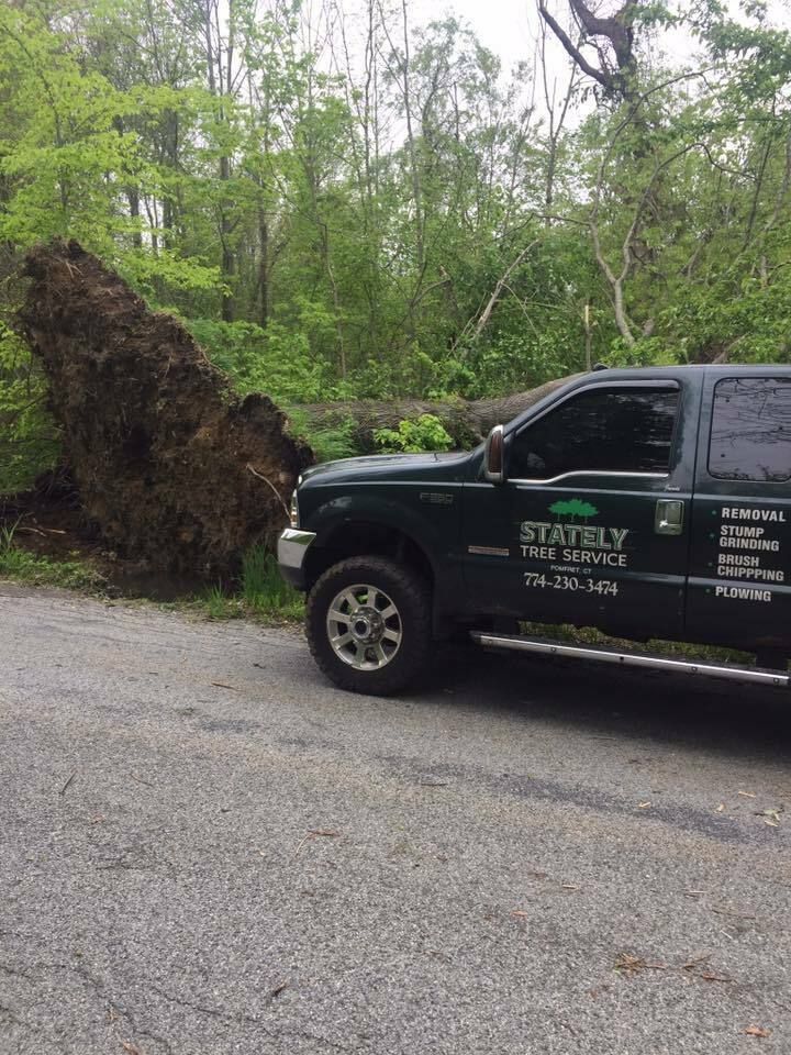 32827285 1738264726254325 609778626094694400 n