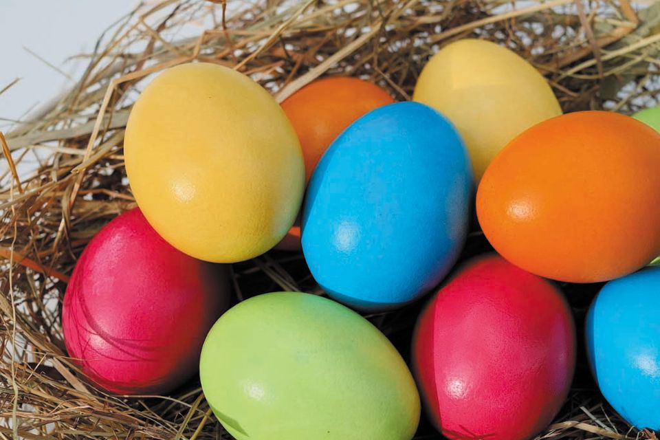 Eggs