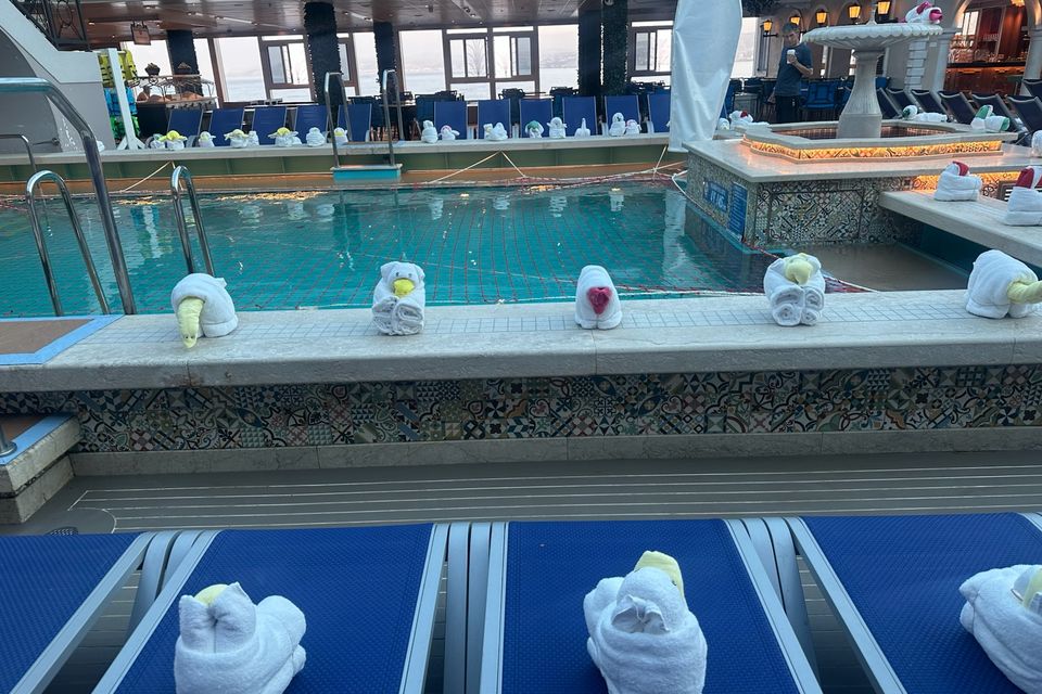 Img 1571