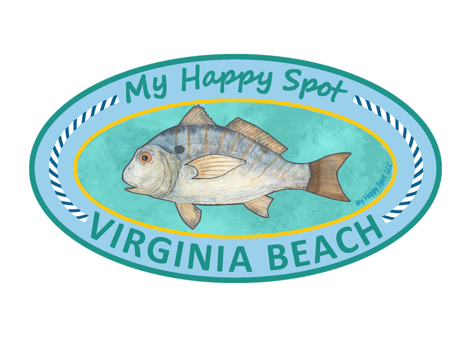 Mhs va beach full color llc