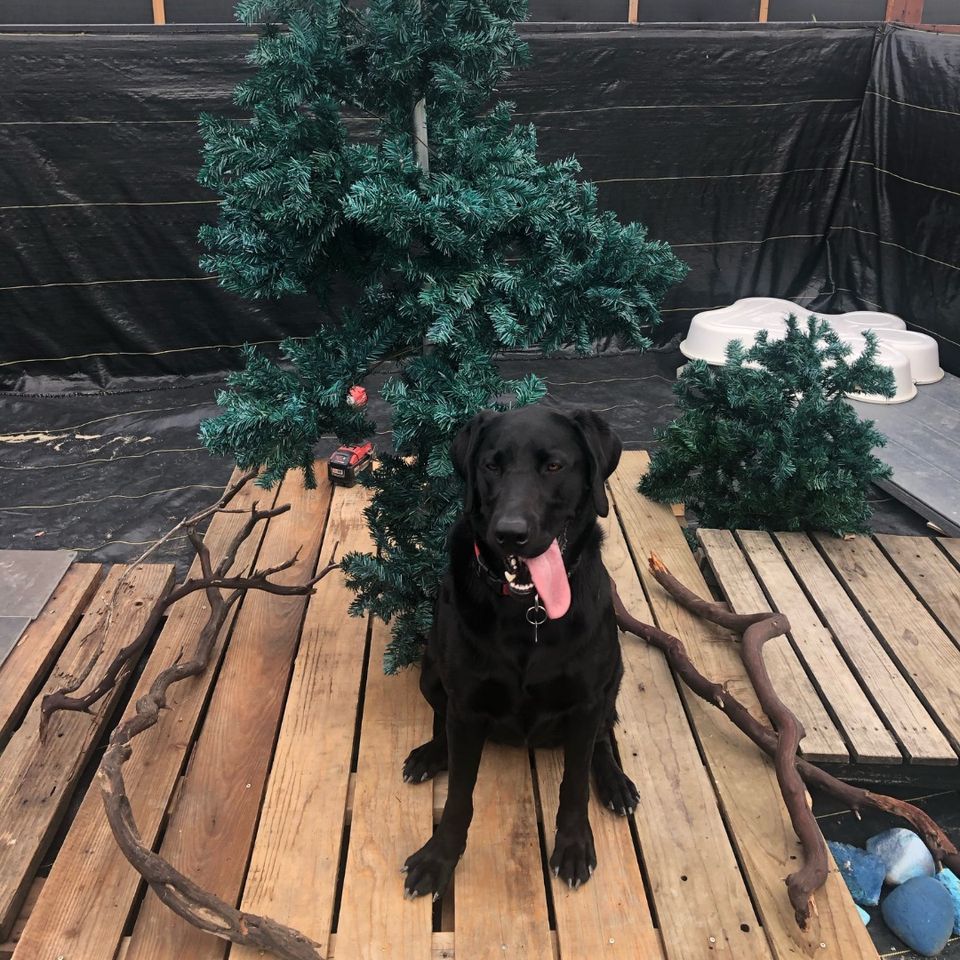 473555477 1033928188788779 7579902532402932364 n