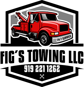 Figs favicon