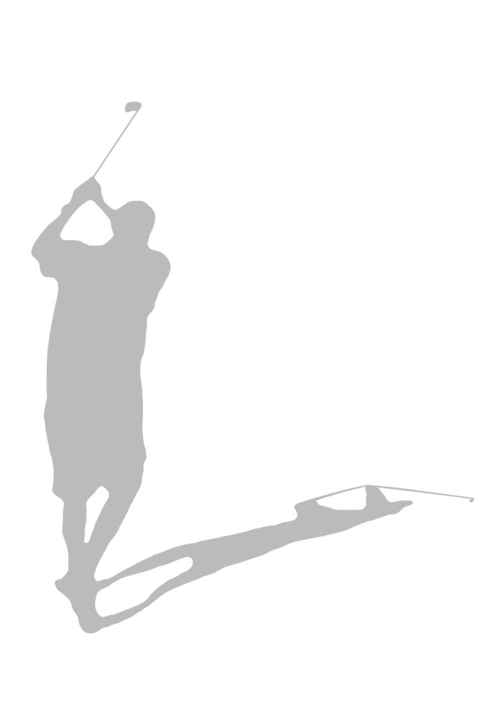 Logo gray png2