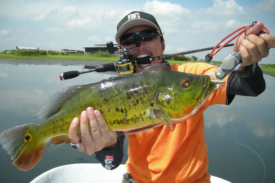 Peacock bass 57e2d24149 1920 original