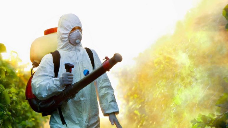 Cbms pest control