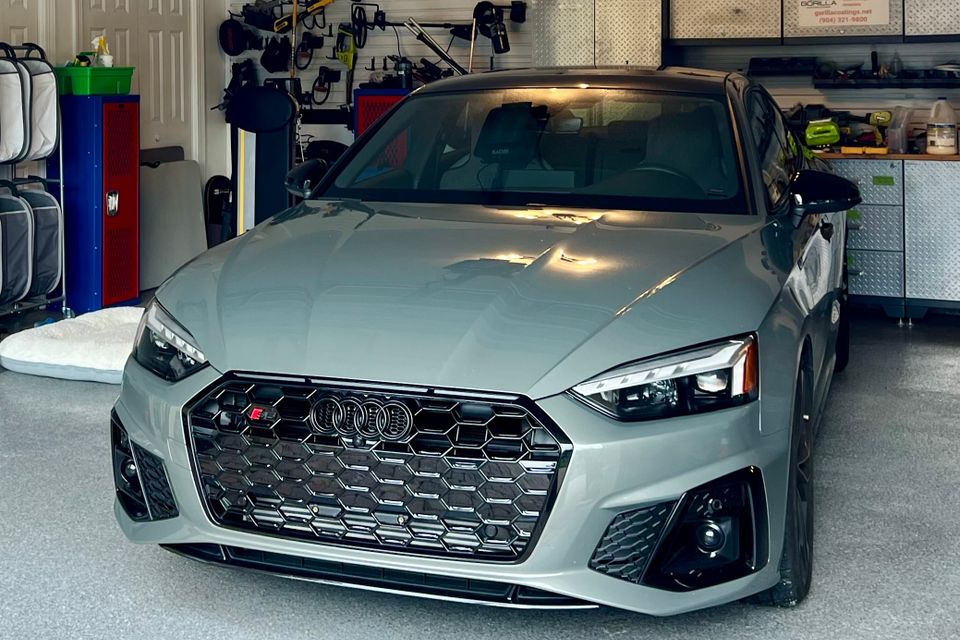 Gorilla audi tight