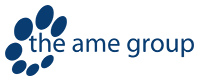 Theamegroup new blue webpage
