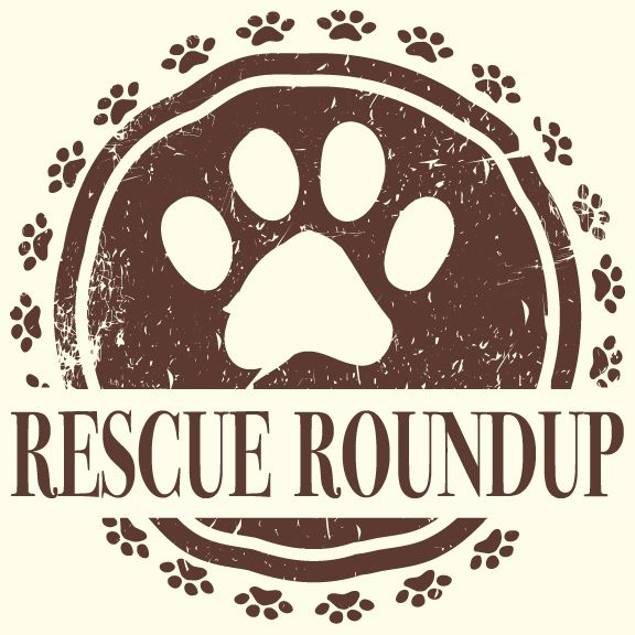 Rescue roundup logo20170904 12791 1yffonn