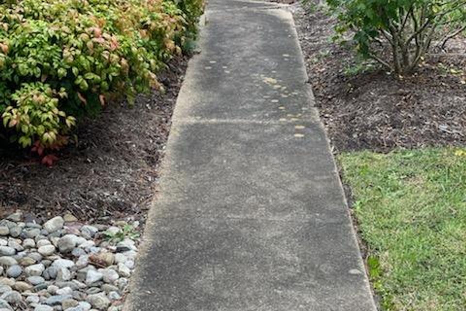 1000000581
