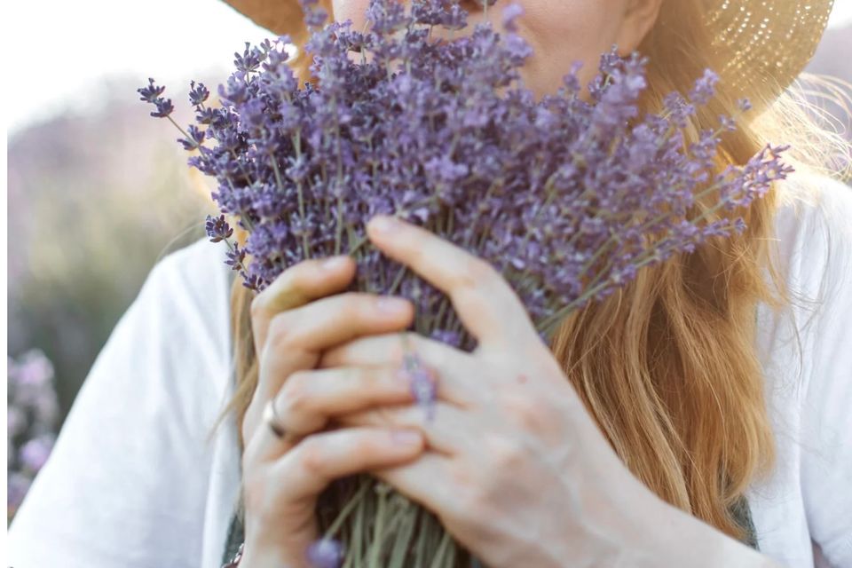What is fragrance 