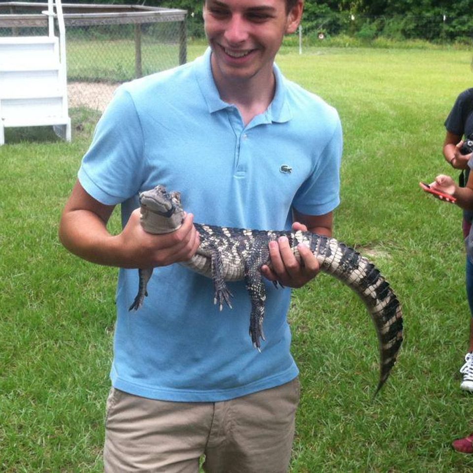 Alligator tours in florida