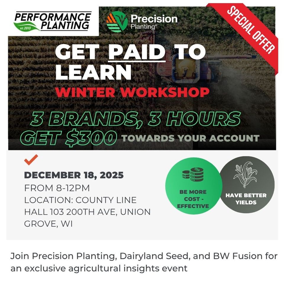 Yellow and black photo grid business postcard (8.5 x 5.5 in) (1080 x 1080 px)