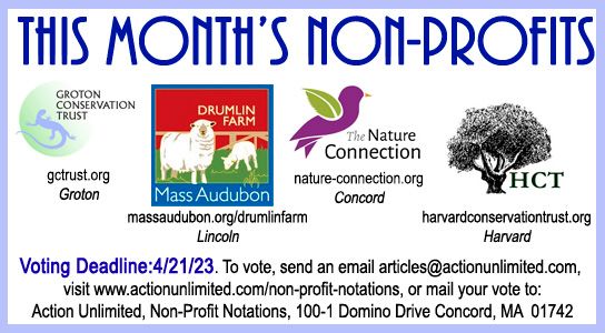 0423 non profit 2x2