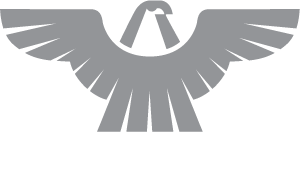 Amerequip logo