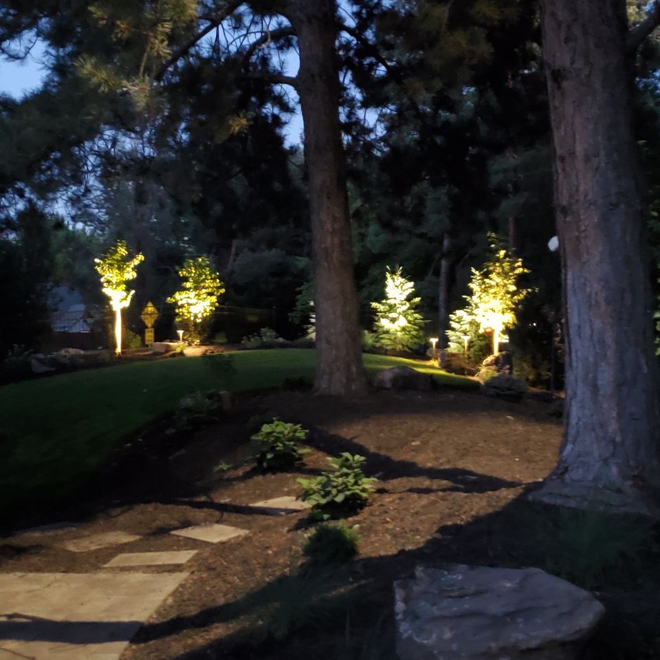 Backyard landscape lighting in nampa id