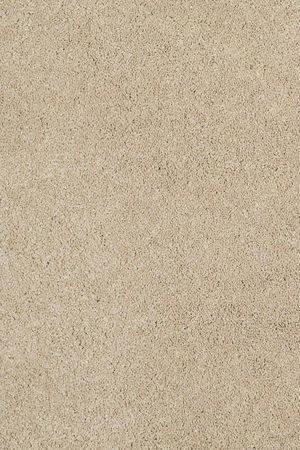 Cashmere classic iv   gentle doe  11.89