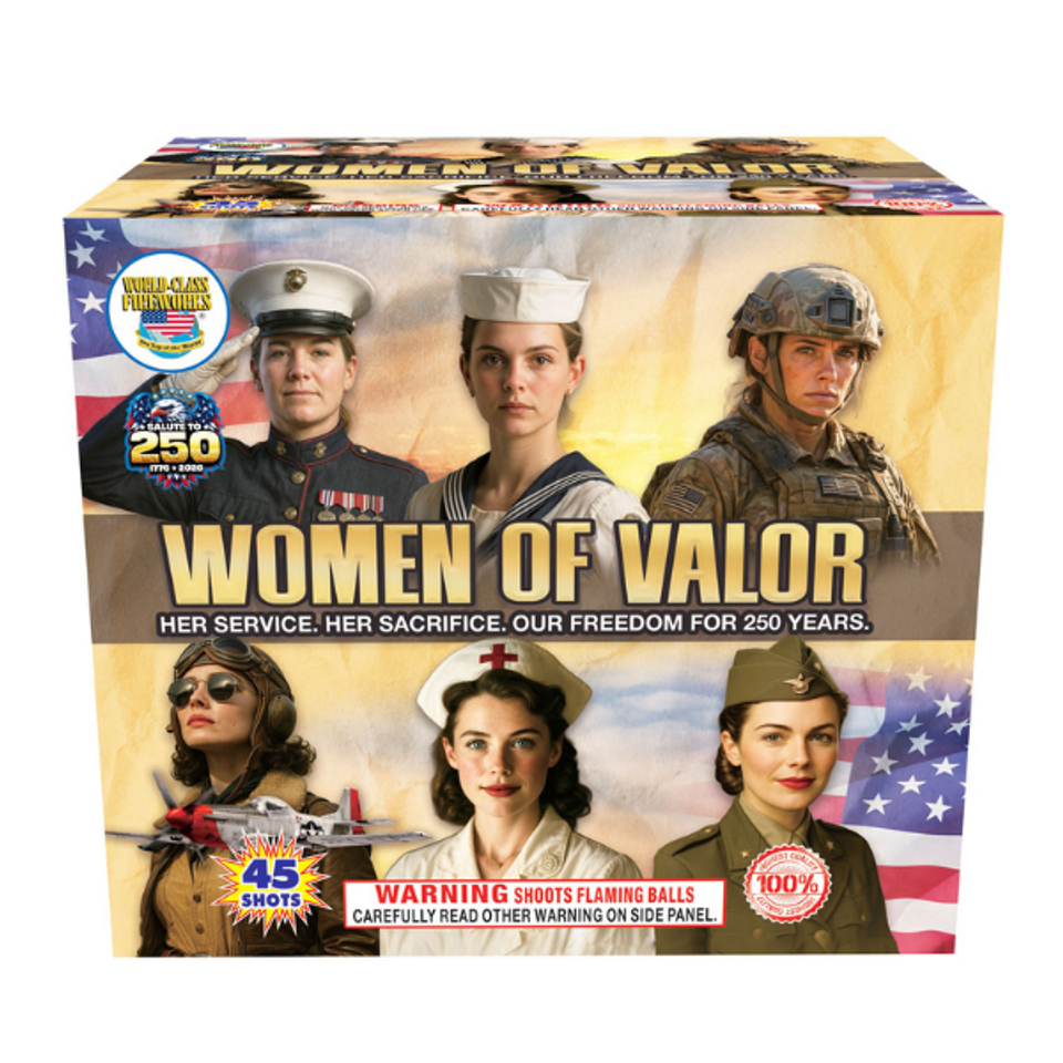 Women of valor cv