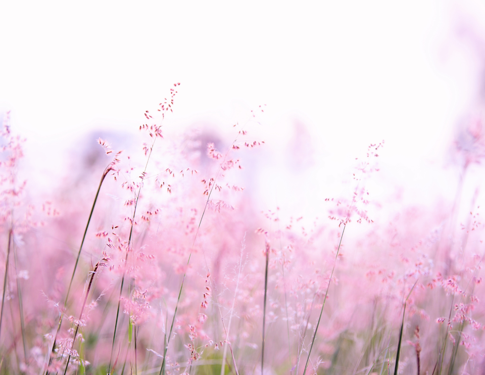 Untitled design (6)