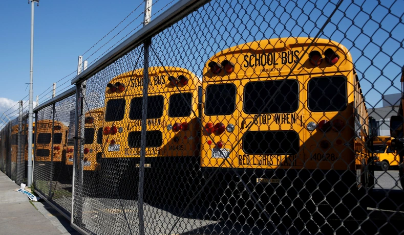 School buses