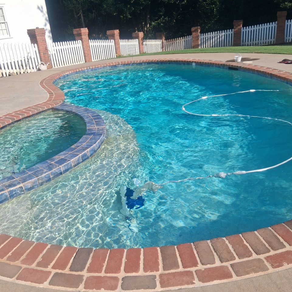 Pool daddy kidney pool backyd