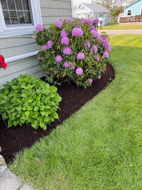Sullivan mulch pic3