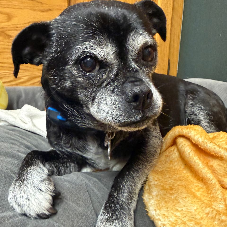 4a58404a 2d44 4706 b75b c1fca48117d6