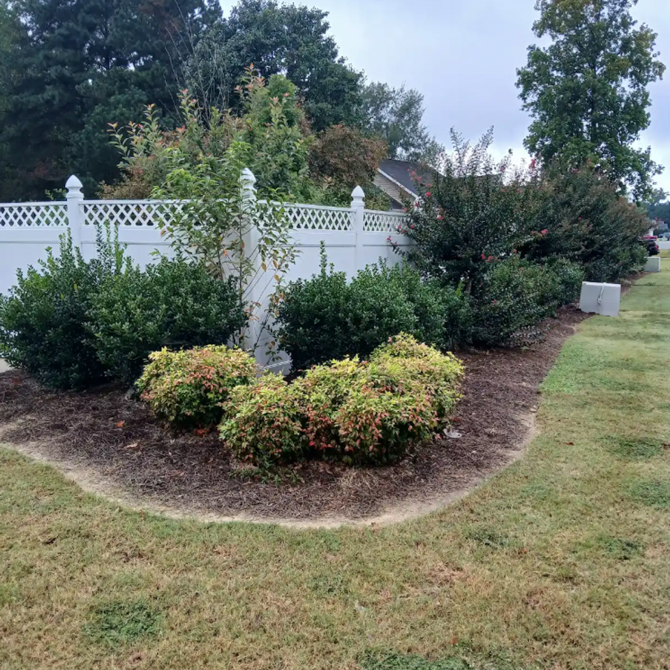 Screen shot 2026 02 24 at 10.01.56 am