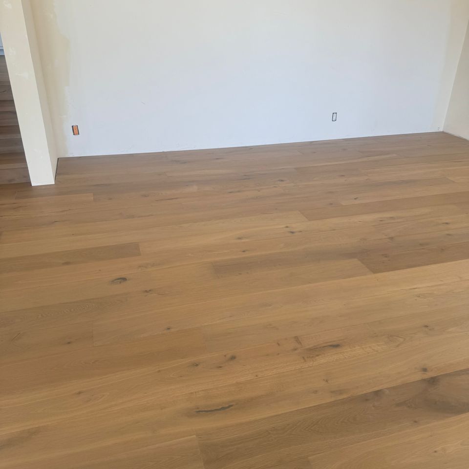 Img 1754