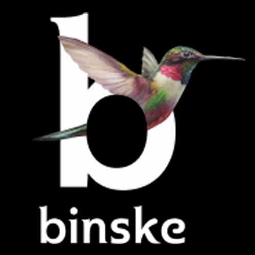 Binske logo